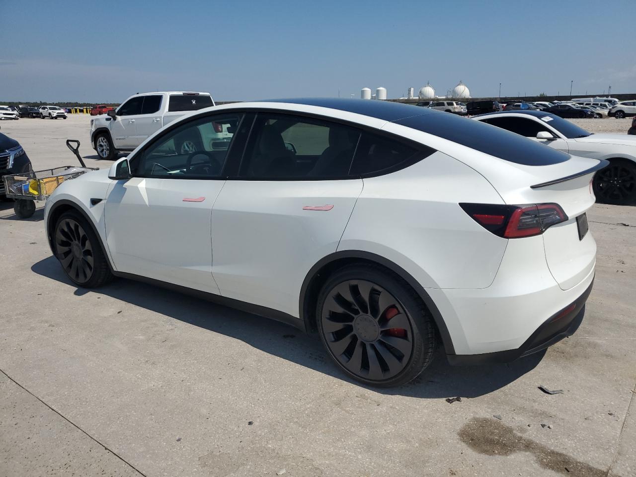 2024 TESLA MODEL Y  VIN:7SAYGDEF5RF046511