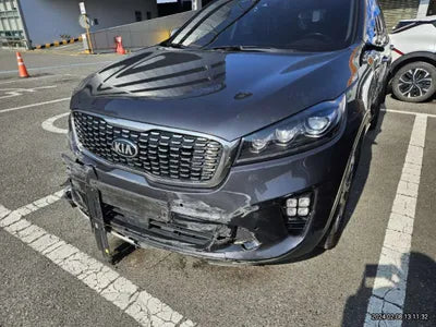 2019 Kia Sorento KNAPS81ABKA492073 VIN:KNAPS81ABKA492073