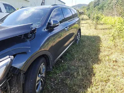 2018 Kia Sorento KNAPS81ABJA463579 VIN:KNAPS81ABJA463579