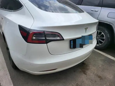 2020 Tesla Model 3 5YJ3E1EB3LF756250 VIN:5YJ3E1EB3LF756250