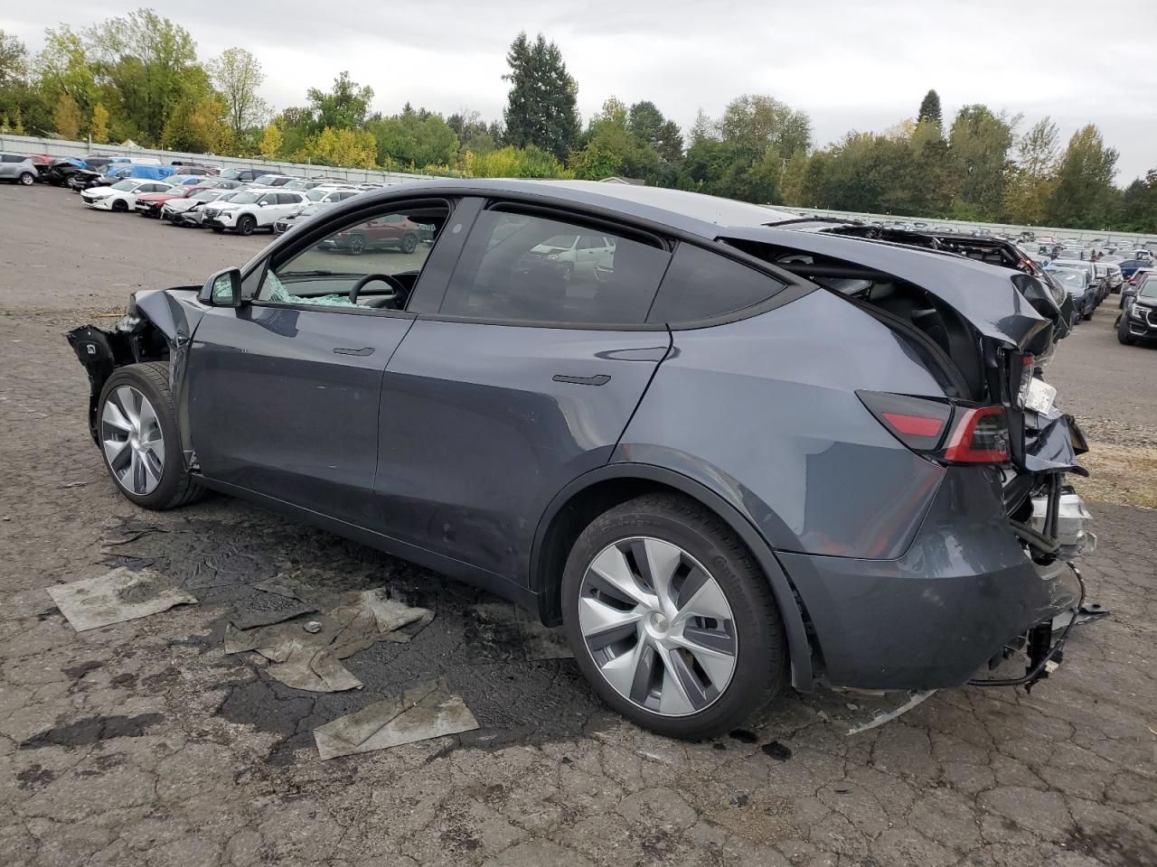 2023 TESLA MODEL Y  VIN:7SAYGDEE6PF904993