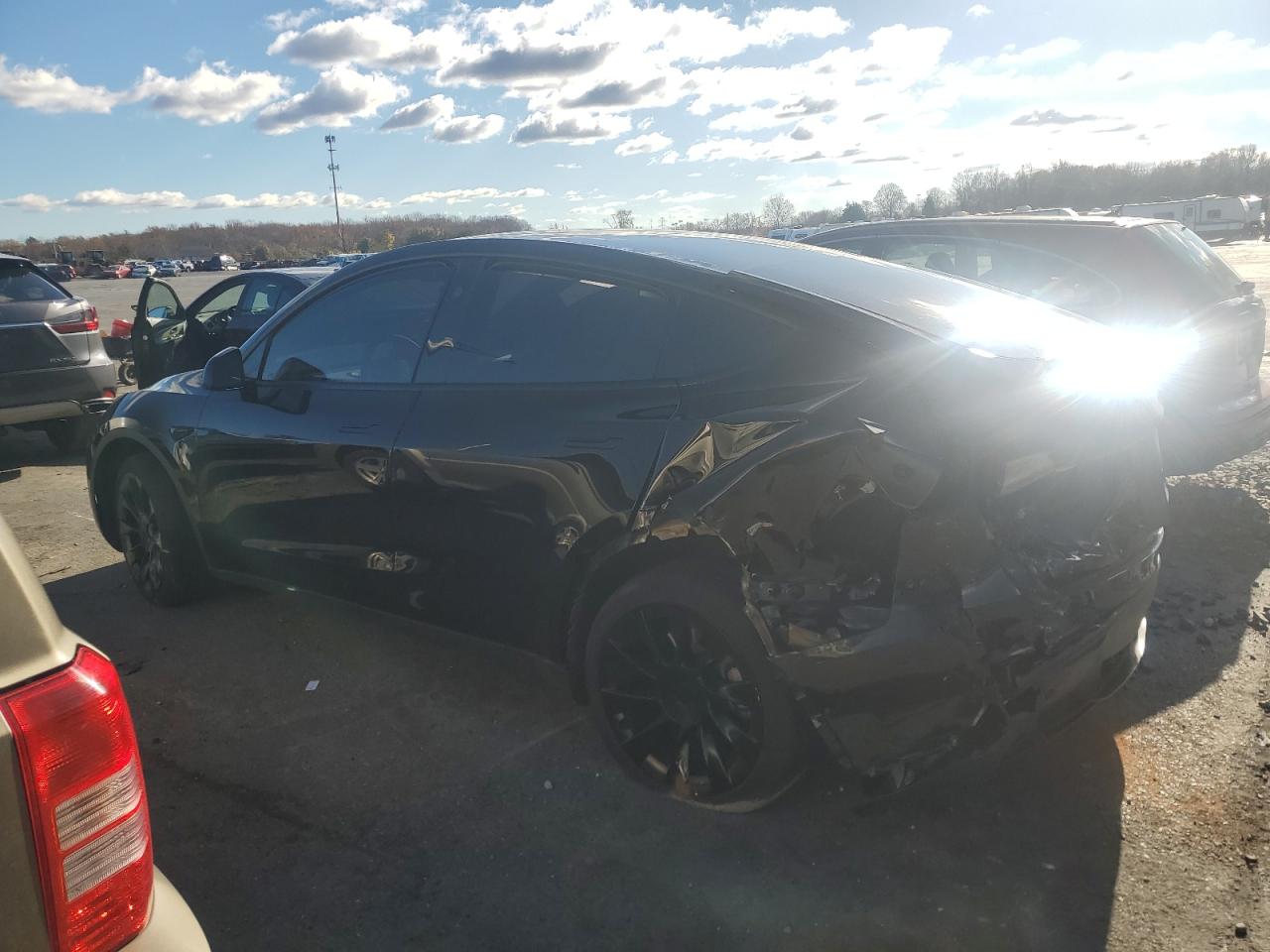2023 TESLA MODEL Y  VIN:7SAYGDEE1PF850759