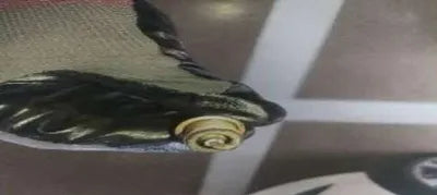 2019 Mercedes-Benz GLA 220 VIN: