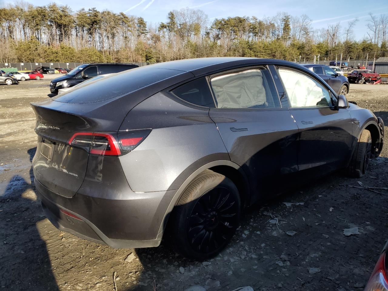 2024 TESLA MODEL Y VIN:7SAYGDEE9RA222948