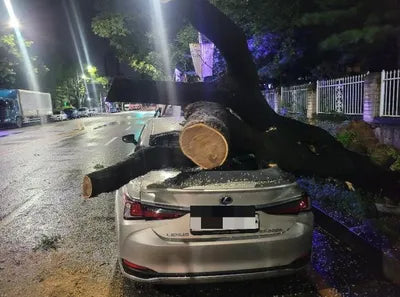 2018 Lexus ES 300 VIN: