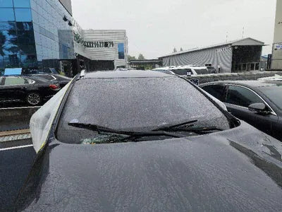 2017 Kia Sorento KNAPS81ABHA358737 VIN:KNAPS81ABHA358737