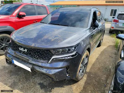 2021 Kia Sorento KNARL81GBNA079343 VIN:KNARL81GBNA079343