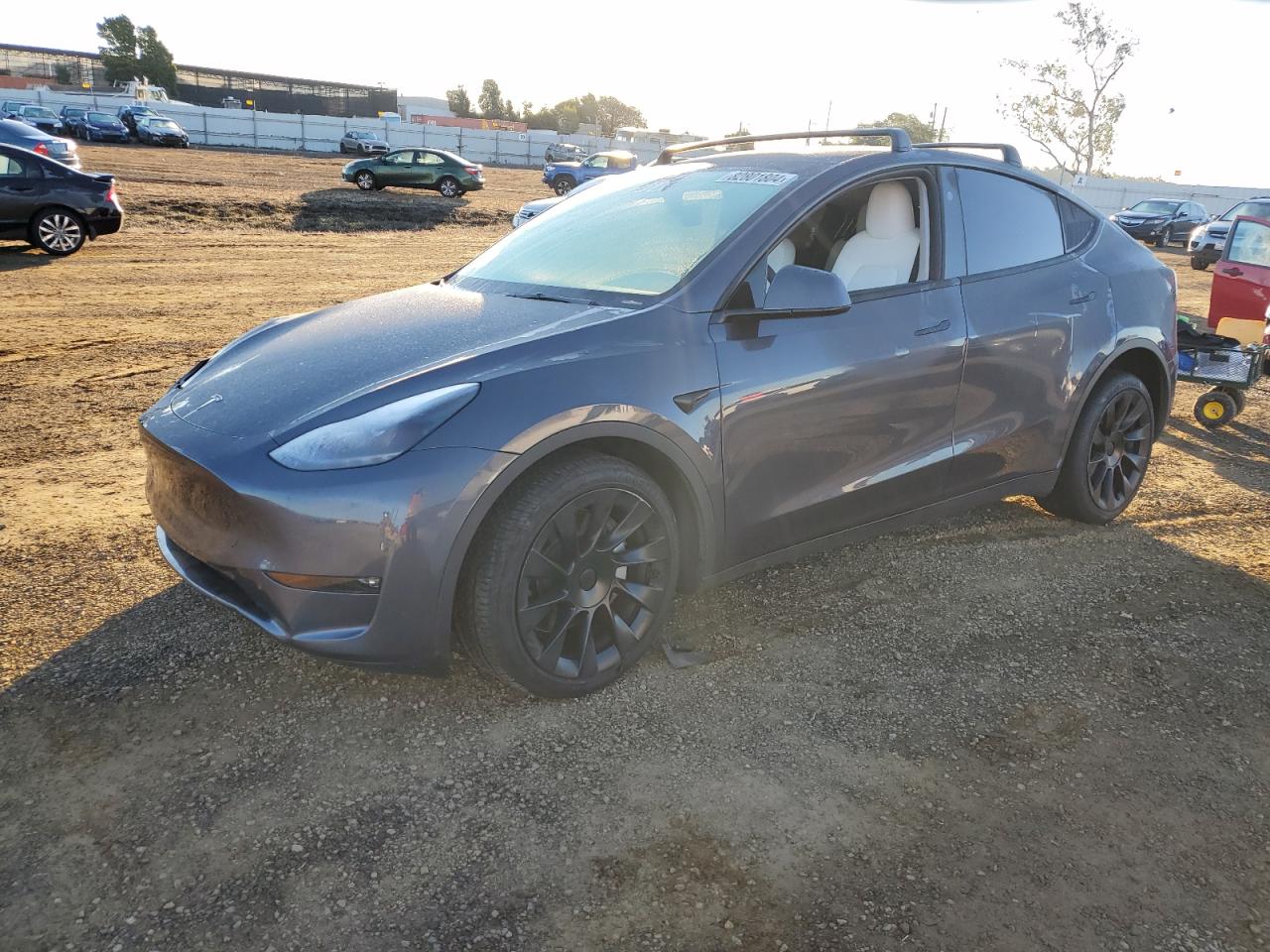 2023 TESLA MODEL Y  VIN:7SAYGAEE7PF967664
