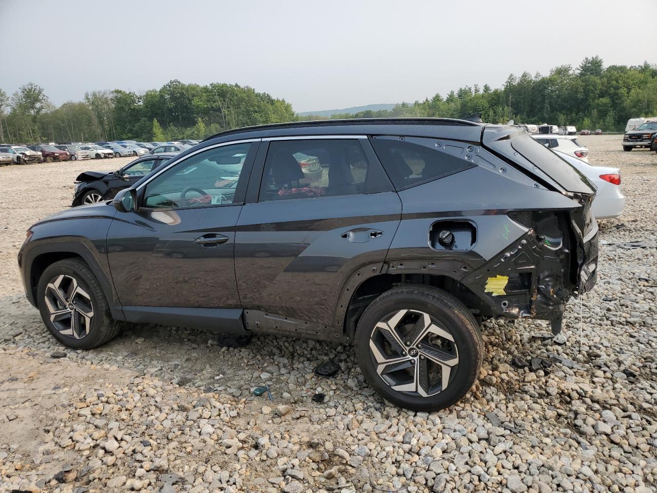 2024 HYUNDAI TUCSON SEL VIN:5NMJFCDE9RH339623