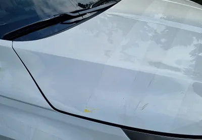 2023 Kia Carnival KNANE813BPS211399 VIN:KNANE813BPS211399