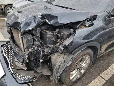 2017 Kia Sorento KNAPS81BBJA405834 VIN:KNAPS81BBJA405834