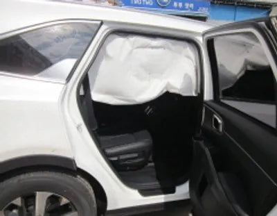 2021 Kia Sorento KNARL81BGNA139785 VIN:KNARL81BGNA139785
