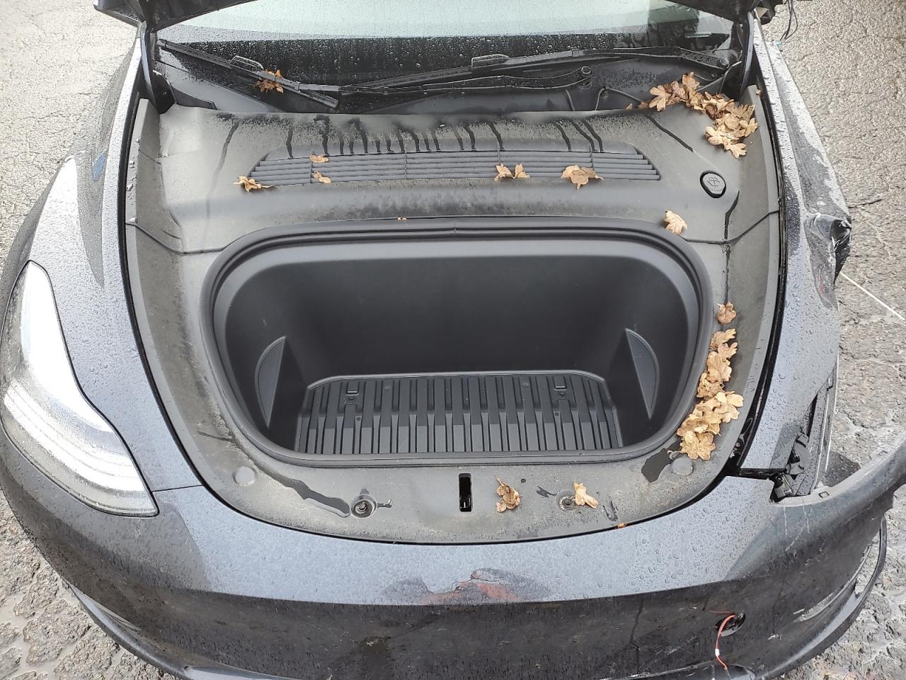 2024 TESLA MODEL Y  VIN:7SAYGDEE0RF990434