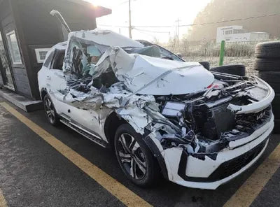 2023 Kia Sorento KNARK81GBPA167065 VIN:KNARK81GBPA167065