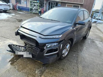 2018 Hyundai Kona KMHK3816GJU114010 VIN:KMHK3816GJU114010