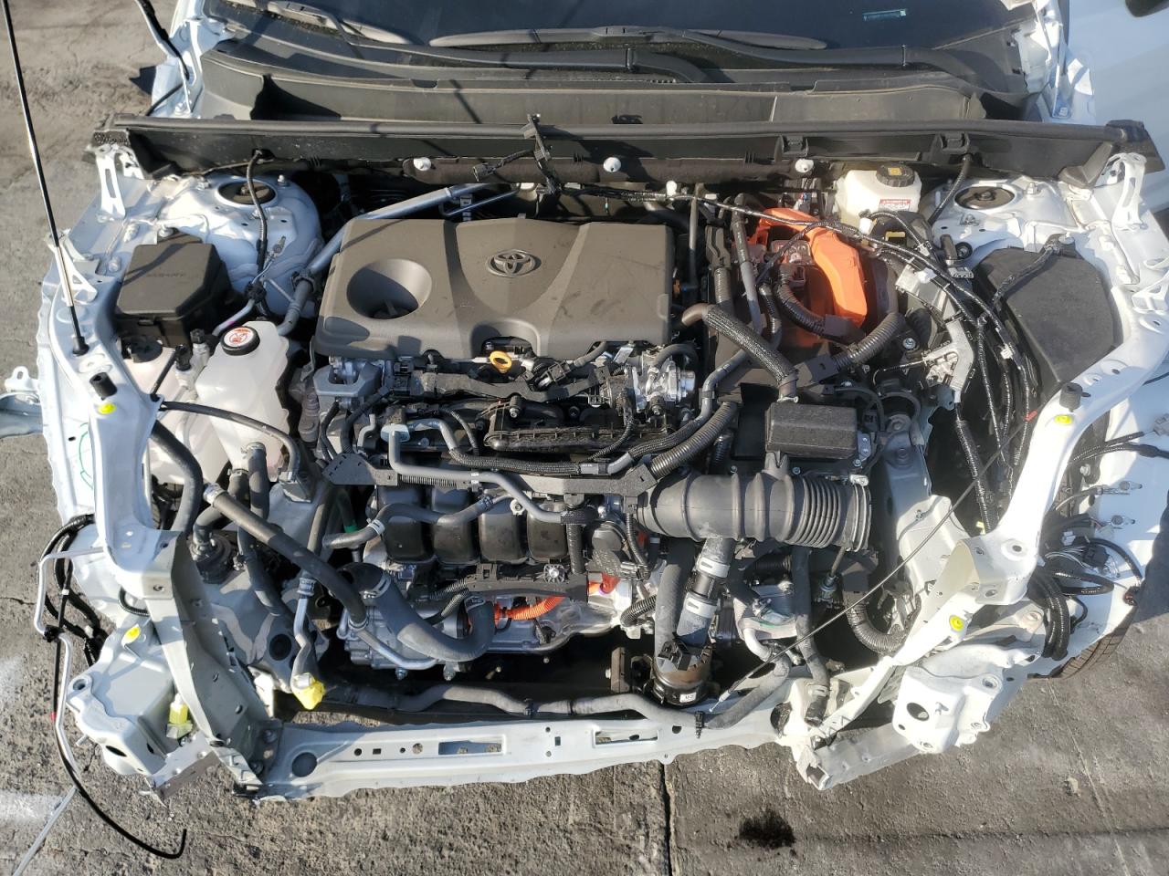 2024 TOYOTA RAV4 XLE PREMIUM VIN:4T3B6RFV1RU159603