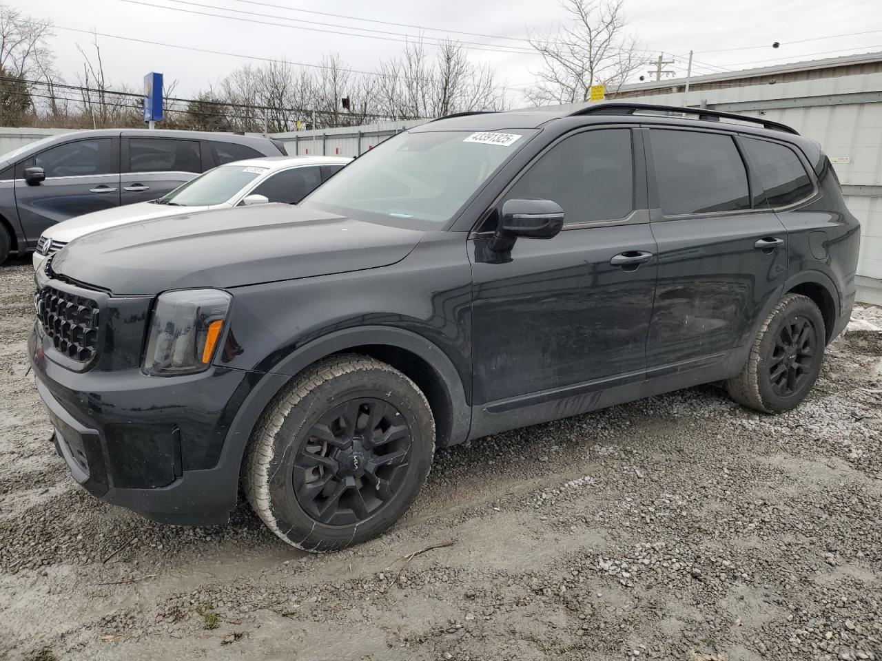 2024 KIA TELLURIDE SX VIN:5XYP5DGC1RG452456