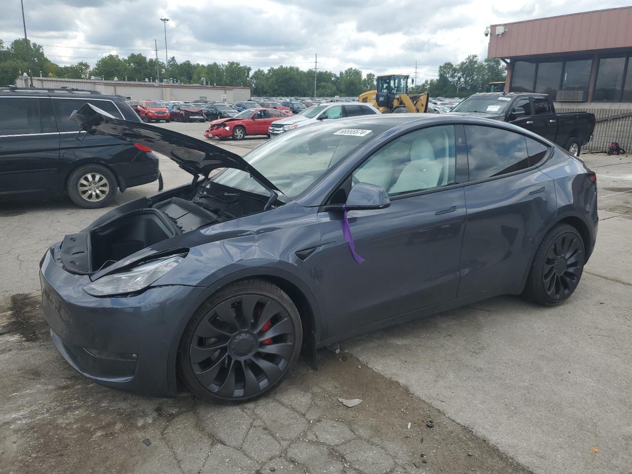 2023 TESLA MODEL Y  VIN:7SAYGDEFXPF956118