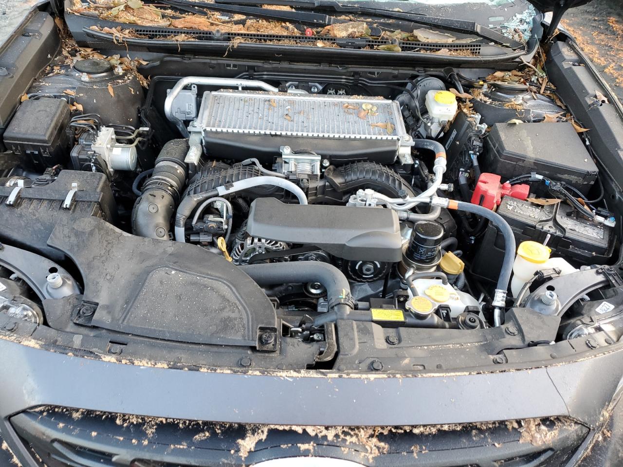 2023 SUBARU OUTBACK WILDERNESS VIN:4S4BTGUD4P3151126