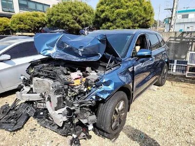 2021 Kia Sorento KNARH81GBMA047432 VIN:KNARH81GBMA047432
