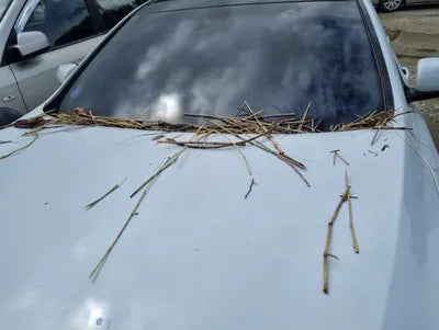 2017 Genesis G80 VIN: