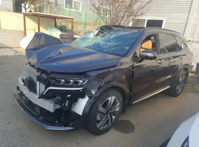 2023 Kia Sorento KNARL81GBPA208641 VIN:KNARL81GBPA208641