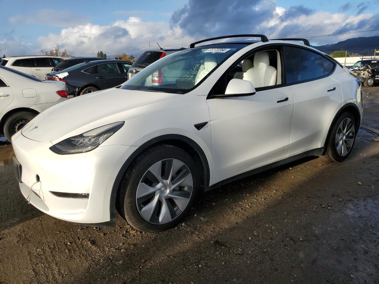 2022 TESLA MODEL Y  VIN:7SAYGAEE3NF358357