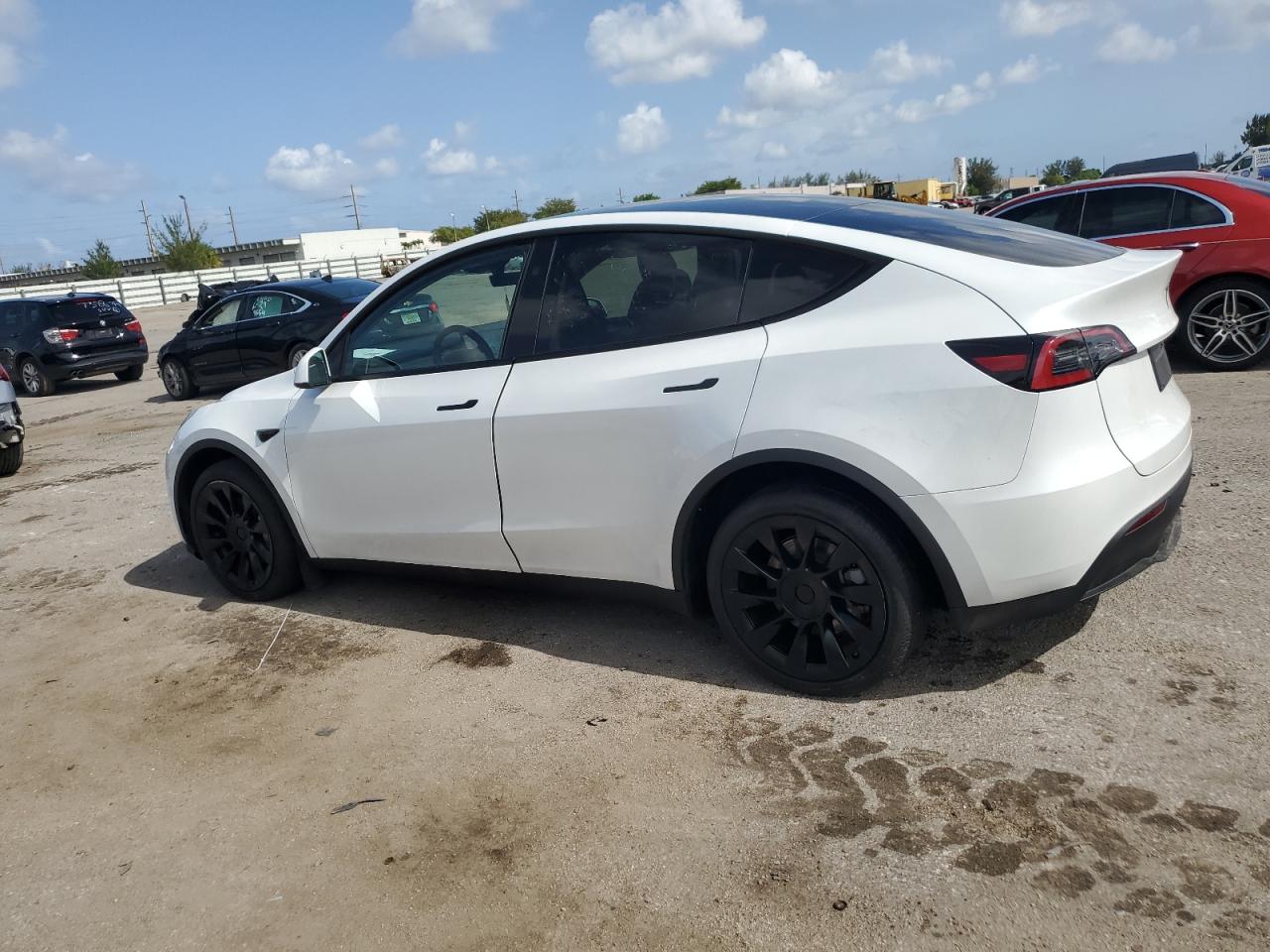 2023 TESLA MODEL Y  VIN:7SAYGDEE3PA166101