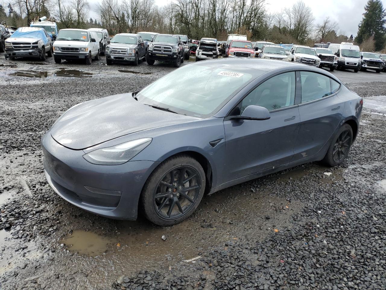 2023 TESLA MODEL 3  VIN:5YJ3E1EB6PF686927
