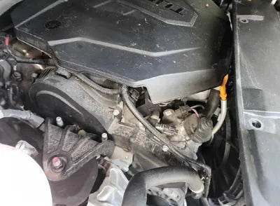 2021 Kia Carnival KNANE81BBMS067853 VIN:KNANE81BBMS067853