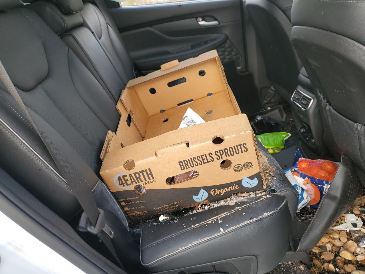 2022 HYUNDAI SANTA FE LIMITED VIN:5NMS44AL0NH421303