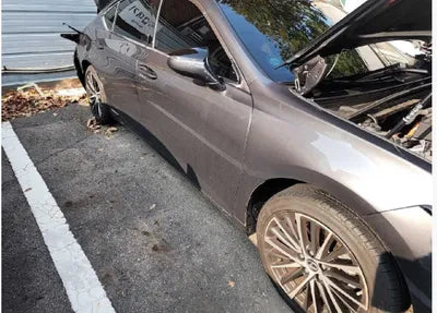2022 Lexus ES 300 JTHBA1C11N2007419 VIN:JTHBA1C11N2007419