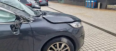 2017 Kia Sorento KNAPS81ABHA341237 VIN:KNAPS81ABHA341237