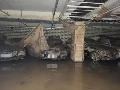 2015 acupuncture nessis 3.3 VIN: