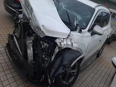 2019 Hyundai Santa FE KMHS581CBKU081567 VIN:KMHS581CBKU081567