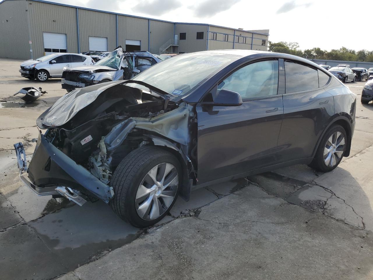 2024 TESLA MODEL Y  VIN:7SAYGDED6RF054499