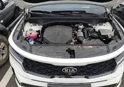 2021 Kia Sorento KNARL81BHMA061163 VIN:KNARL81BHMA061163