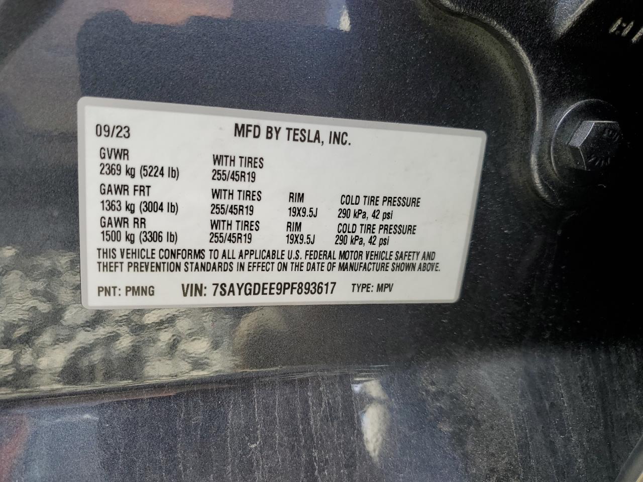 2023 TESLA MODEL Y  VIN:7SAYGDEE9PF893617