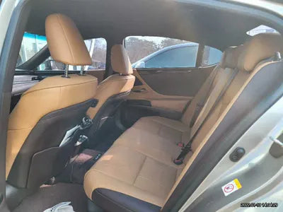 2019 Lexus ES 300 JTHB21B10K2052894 VIN:JTHB21B10K2052894