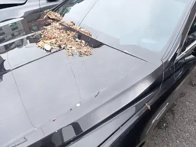 2020 Genesis G90 NONE VIN: