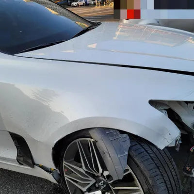 2021 Kia Stinger KNAE351DDMS099818 VIN:KNAE351DDMS099818