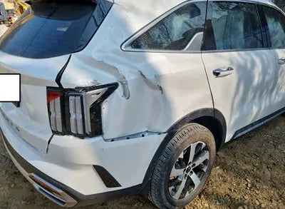 2021 Kia Sorento KNARL81BGMA056006 VIN:KNARL81BGMA056006