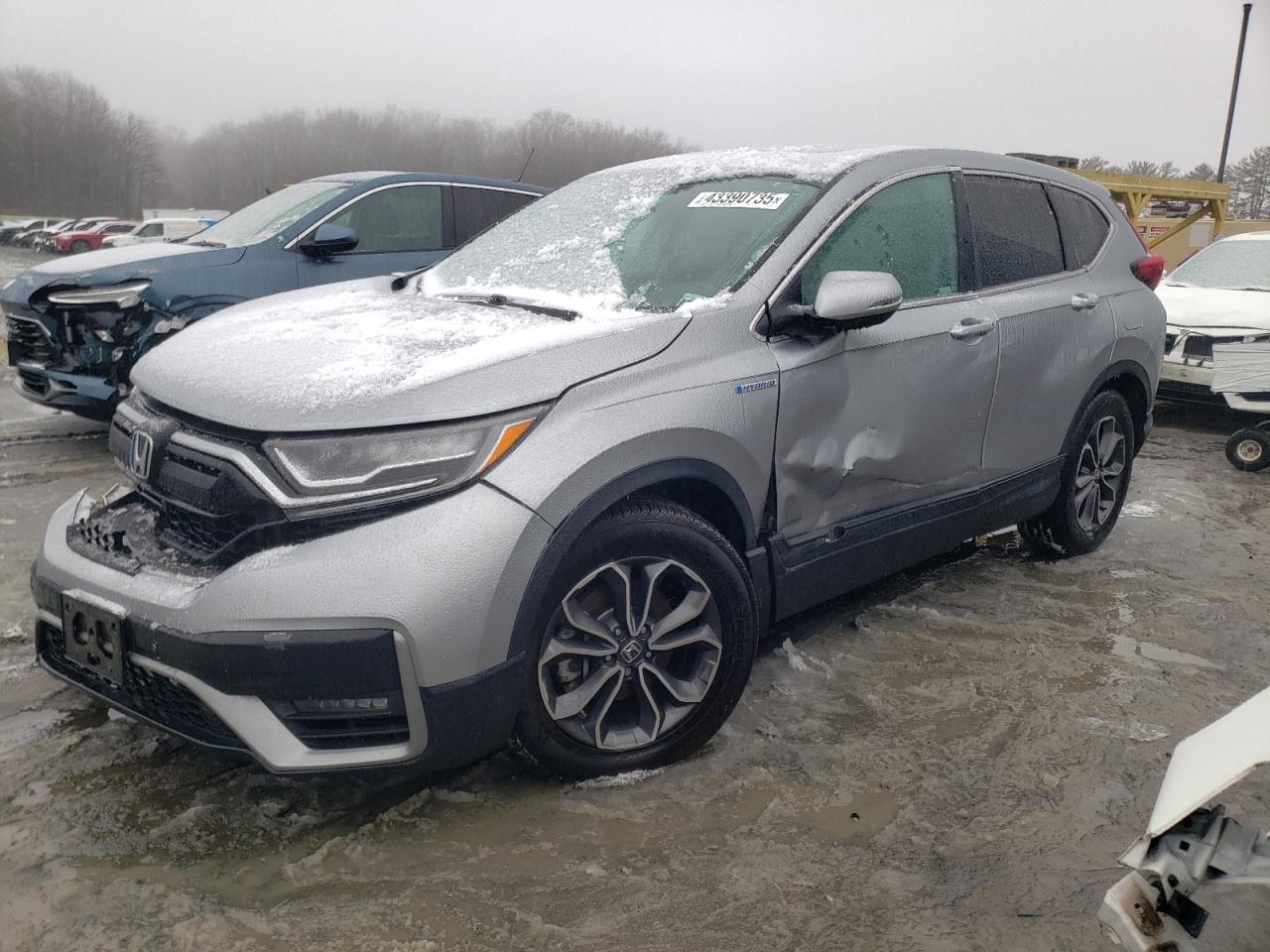 2022 HONDA CR-V EX VIN:5J6RT6H51NL056661