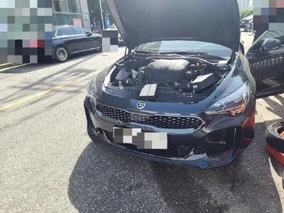 2019 Kia Stinger KNAE751CDKS058777 VIN:KNAE751CDKS058777