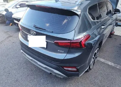 2019 Hyundai Santa FE KMHS281BBKU066495 VIN:KMHS281BBKU066495