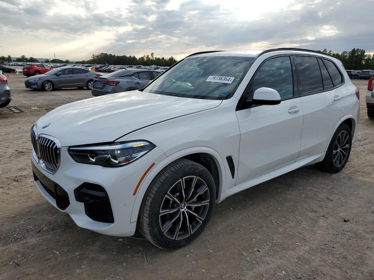 2023 BMW X5 SDRIVE 40I VIN:5UXCR4C05P9S07011