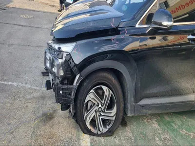 2021 Hyundai Santa FE KMHS281HGMU396979 VIN:KMHS281HGMU396979