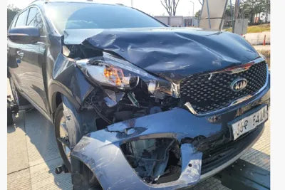 2017 Kia Sorento KNAPS81ABKA479906 VIN:KNAPS81ABKA479906