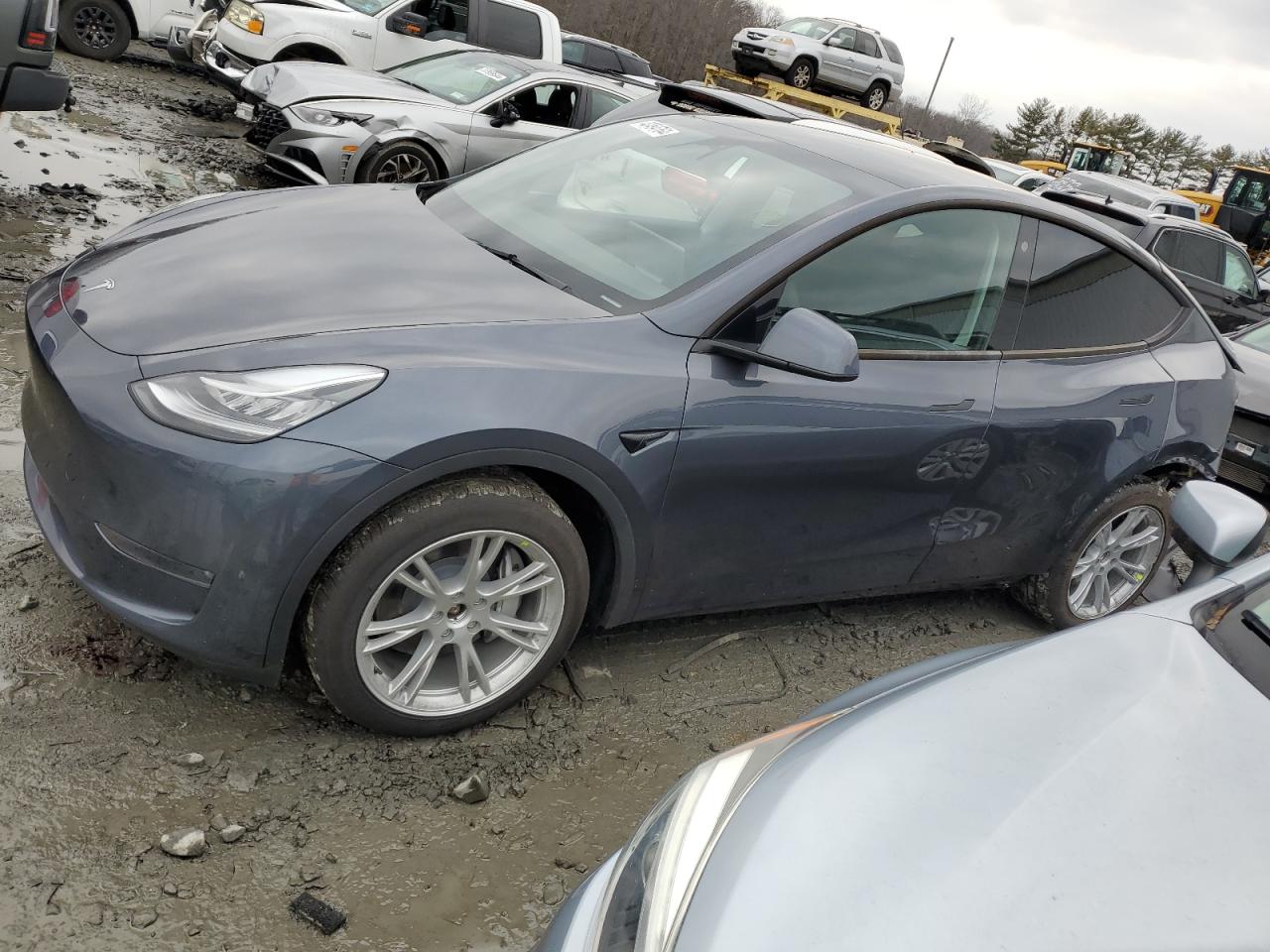 2023 TESLA MODEL Y  VIN:7SAYGDEE6PA042484