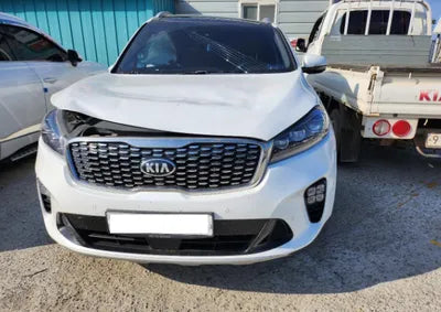 2019 Kia Sorento KNAPS81BBKA528263 VIN:KNAPS81BBKA528263